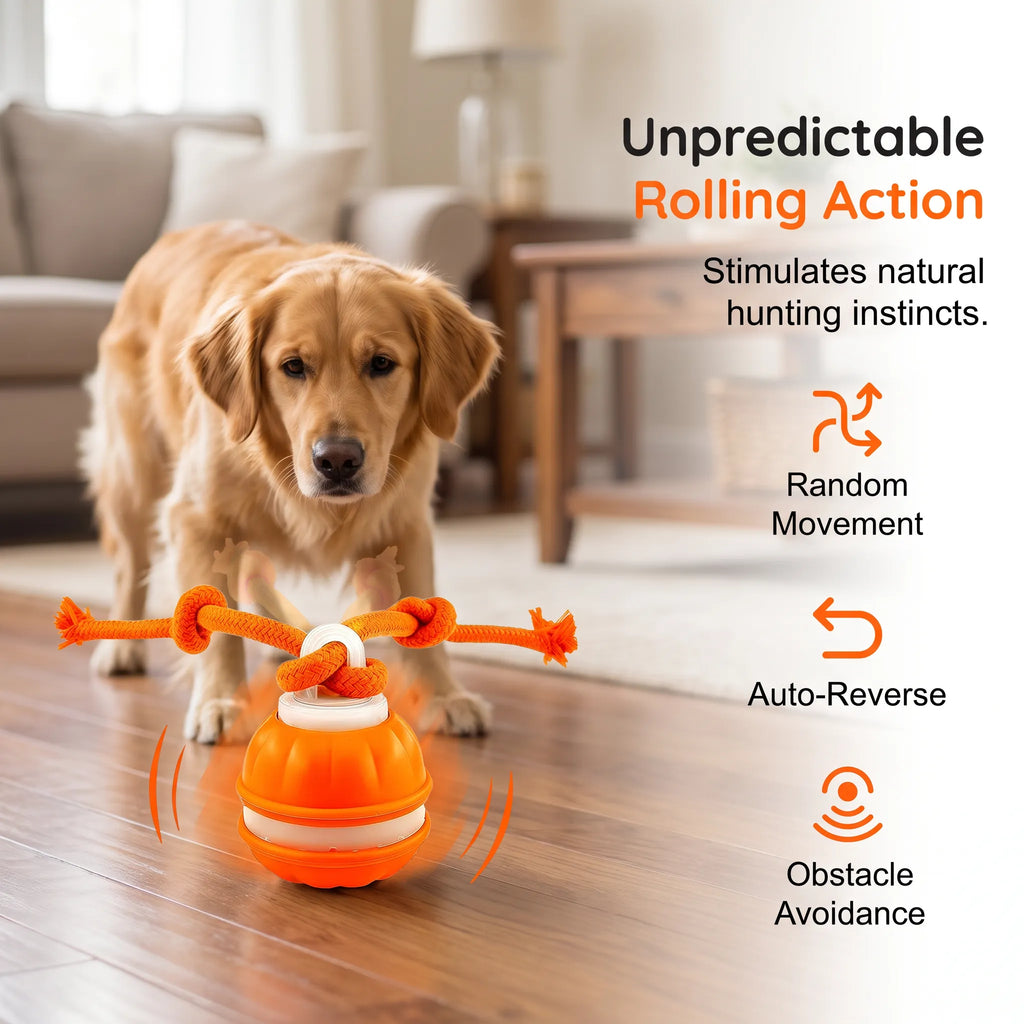 🐕⚡Interactive Smart Rolling Pet Ball，49% OFF!