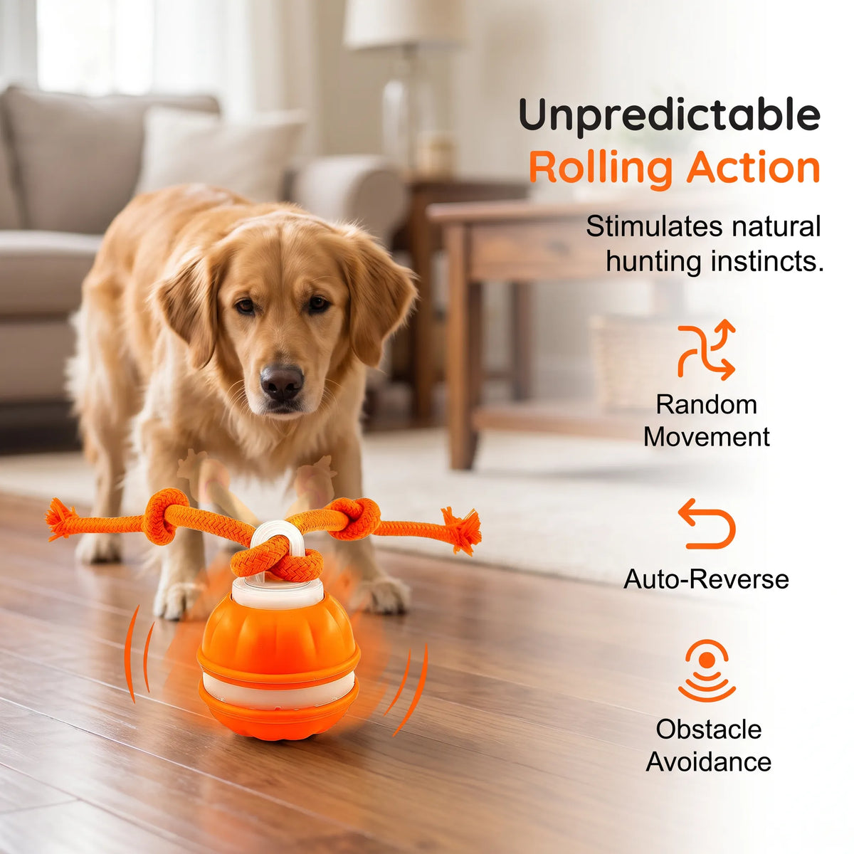 🐕⚡Interactive Smart Rolling Pet Ball，49% OFF!