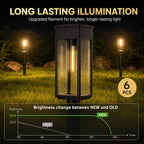 Solar Garden Path Lights with Warm &Cool White Options
