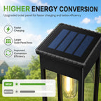 Solar Garden Path Lights with Warm &Cool White Options