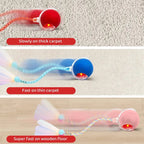 🐱Interactive Ball Toy for Cats & Small Dogs，49% OFF!⚡
