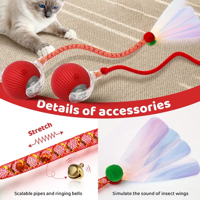 🐱Interactive Ball Toy for Cats & Small Dogs，49% OFF!⚡