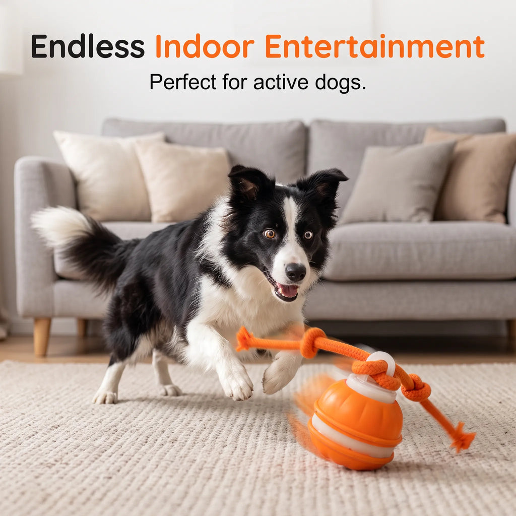 🐕⚡Interactive Smart Rolling Pet Ball，49% OFF!