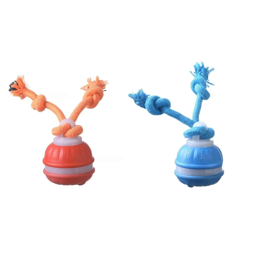 🐕⚡Interactive Smart Rolling Pet Ball，49% OFF!