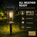 Solar Garden Path Lights with Warm &Cool White Options