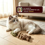 🐱Catnip & Silvervine Chew，49% OFF!⚡