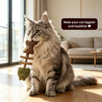 🐱Catnip & Silvervine Chew，49% OFF!⚡
