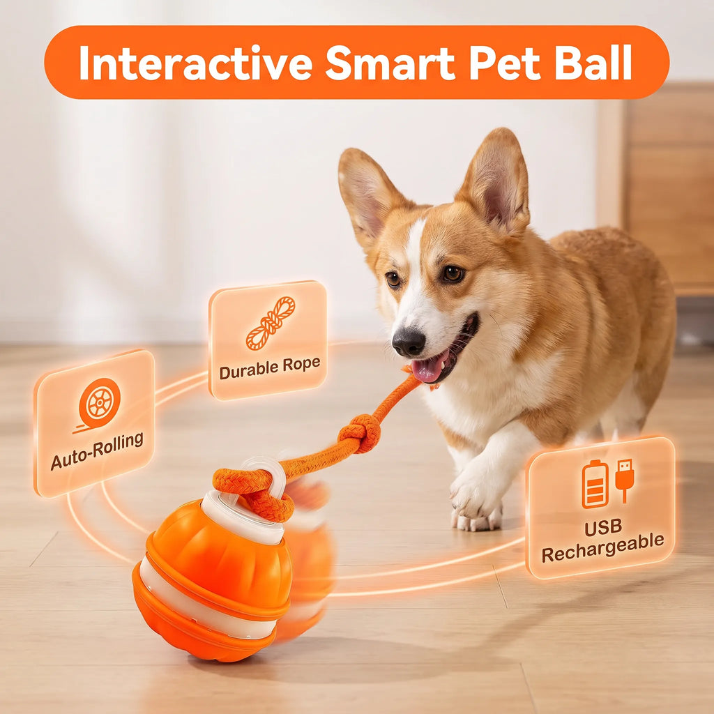 🐕⚡Interactive Smart Rolling Pet Ball，49% OFF!