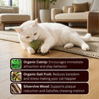 🐱Catnip & Silvervine Chew，49% OFF!⚡