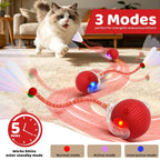 🐱Interactive Ball Toy for Cats & Small Dogs，49% OFF!⚡