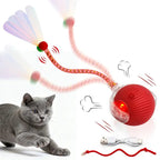 🐱Interactive Ball Toy for Cats & Small Dogs，49% OFF!⚡