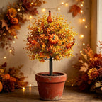 Halloween-themed eucalyptus pumpkin planting