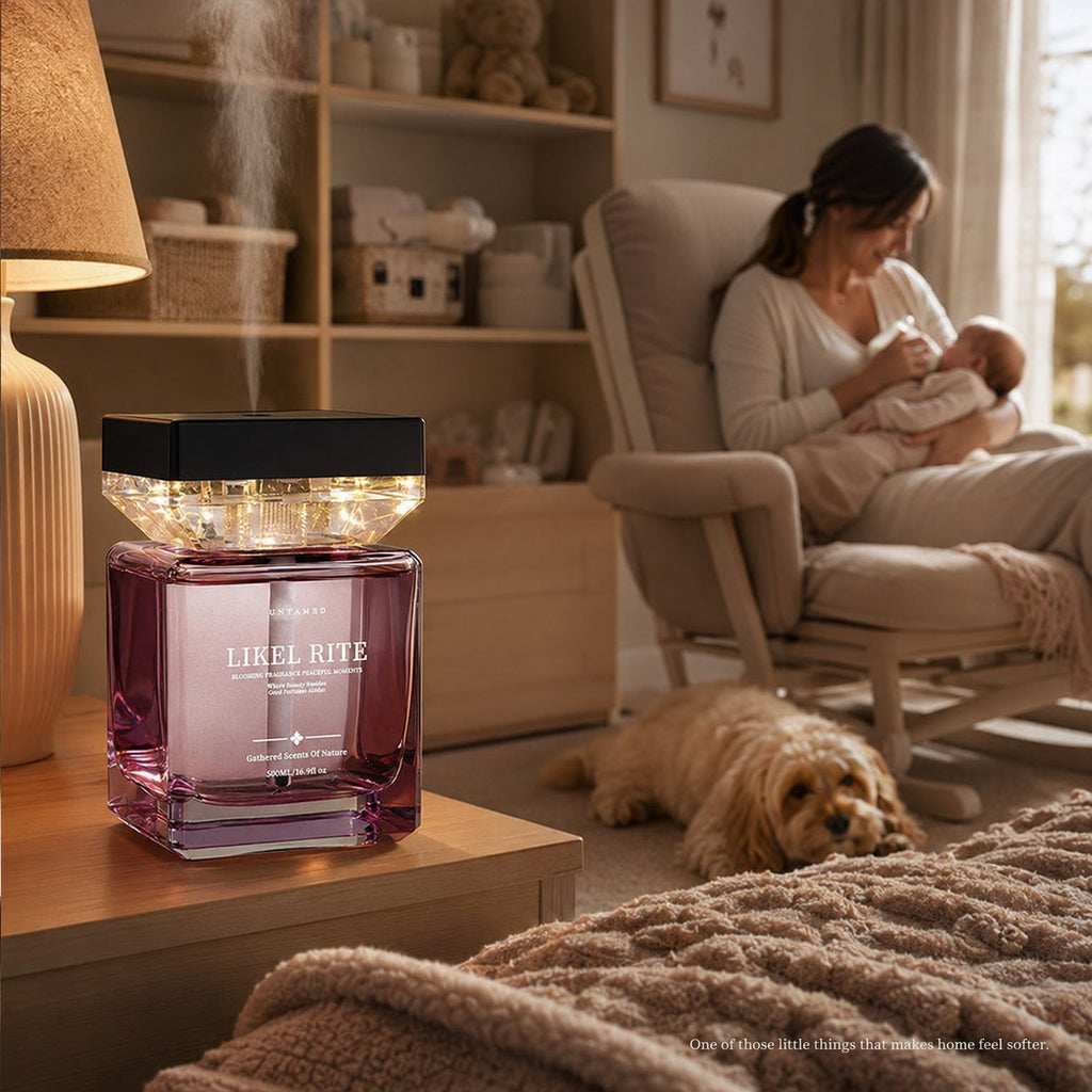 Luxury Scent Mist Diffuser