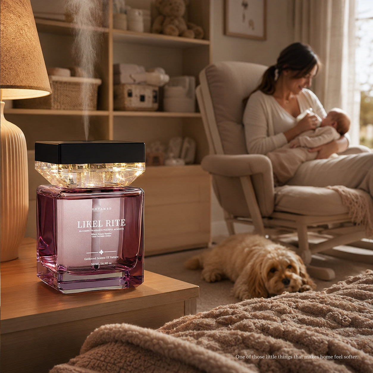 Luxury Scent Mist Diffuser