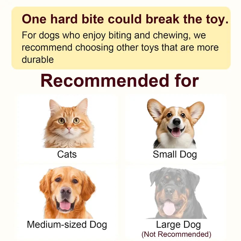 🐱Interactive Ball Toy for Cats & Small Dogs，49% OFF!⚡