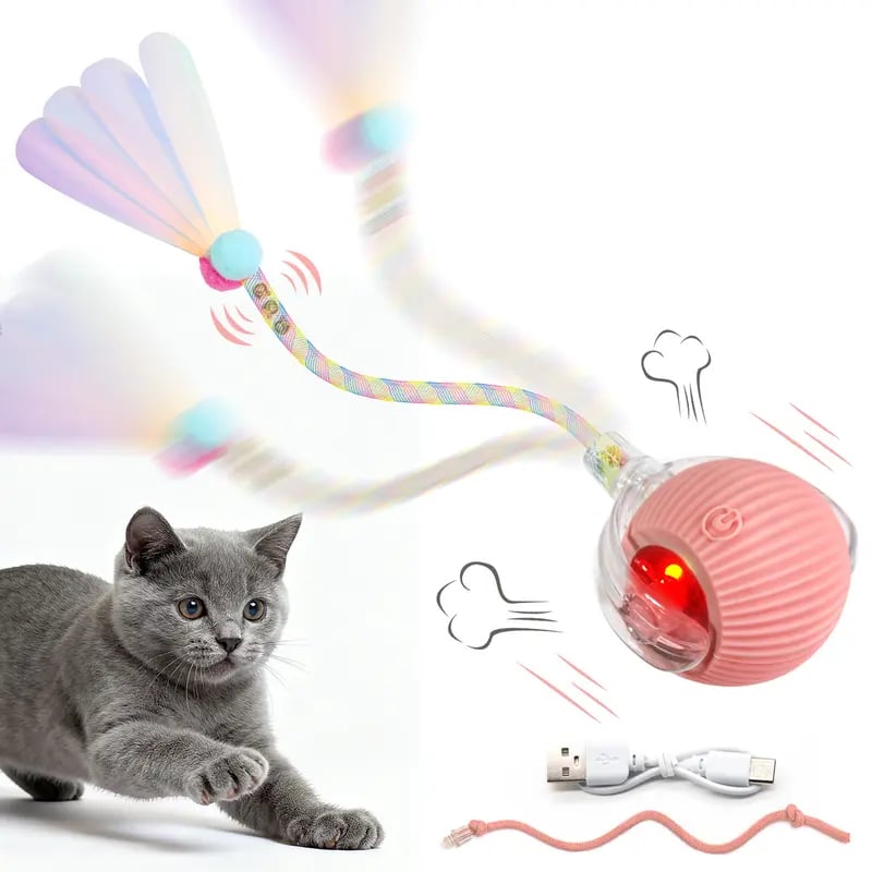 🐱Interactive Ball Toy for Cats & Small Dogs，49% OFF!⚡