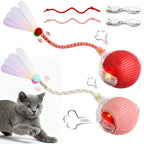 🐱Interactive Ball Toy for Cats & Small Dogs，49% OFF!⚡