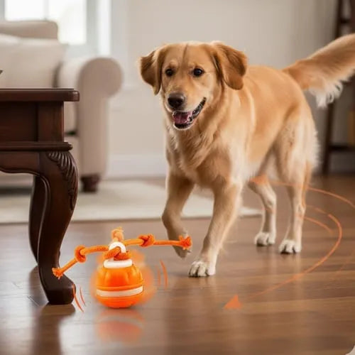 🐕⚡Interactive Smart Rolling Pet Ball，49% OFF!