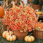 🍁UV-Resistant Artificial Daisy Flowers  for Fall Decor Halloween
