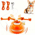 🐕⚡Interactive Smart Rolling Pet Ball，49% OFF!