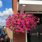 🔥UV Resistant Artificial Petunias Flowers🔥