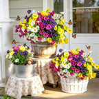🔥UV Resistant Artificial Petunias Flowers🔥